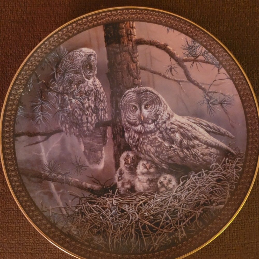 Bradford Exchange Great Gray Owl Family 8" plate